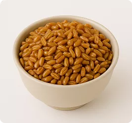 e026197c-00c5-4982-b4e0-a890f27f5d9e 41